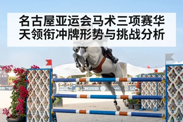 equestrian eventing horse rider